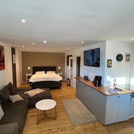 Sebotec Apartman *